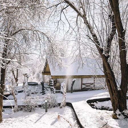 Luxury Vineyard Resort Chateau Ramsak Maribor Zewnętrze zdjęcie